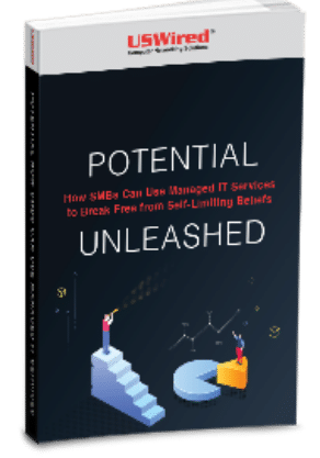 LD-USWired-Potential-How-SMBsCanUse-ManagedITServices-eBook-Cover
