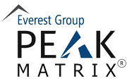 everest group